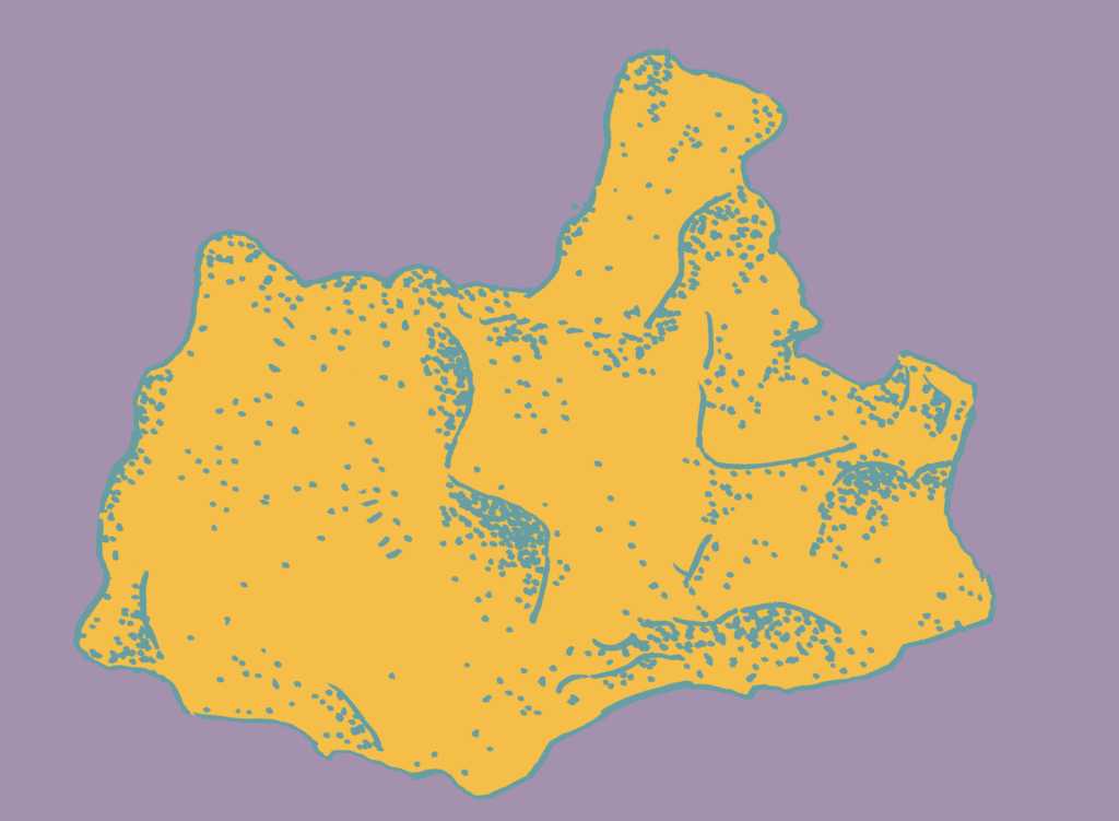 stein 03 min